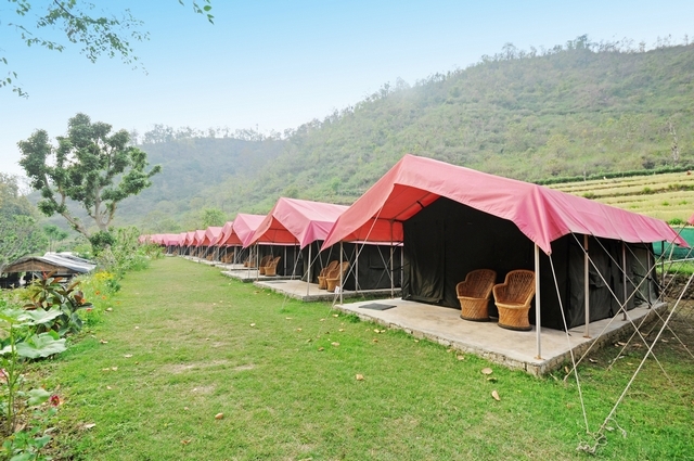 Majestic Rishikesh Camp Rishikesh