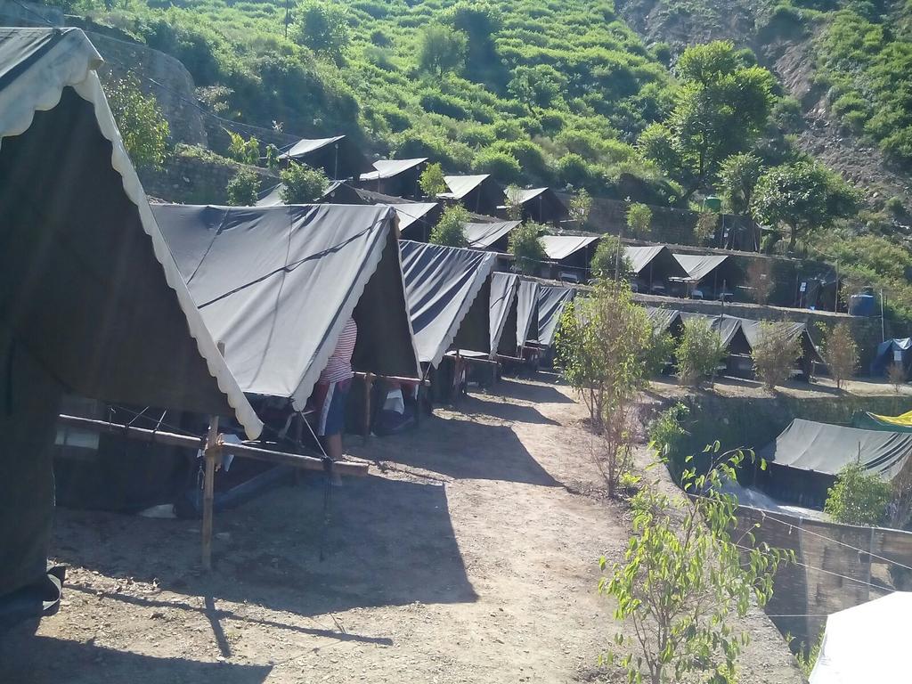 Mogli Camp Rishikesh