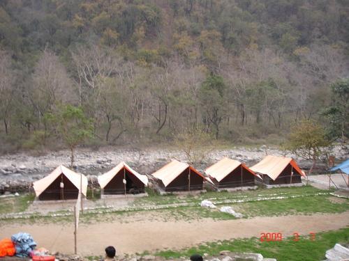 Wildex Camp Rishikesh